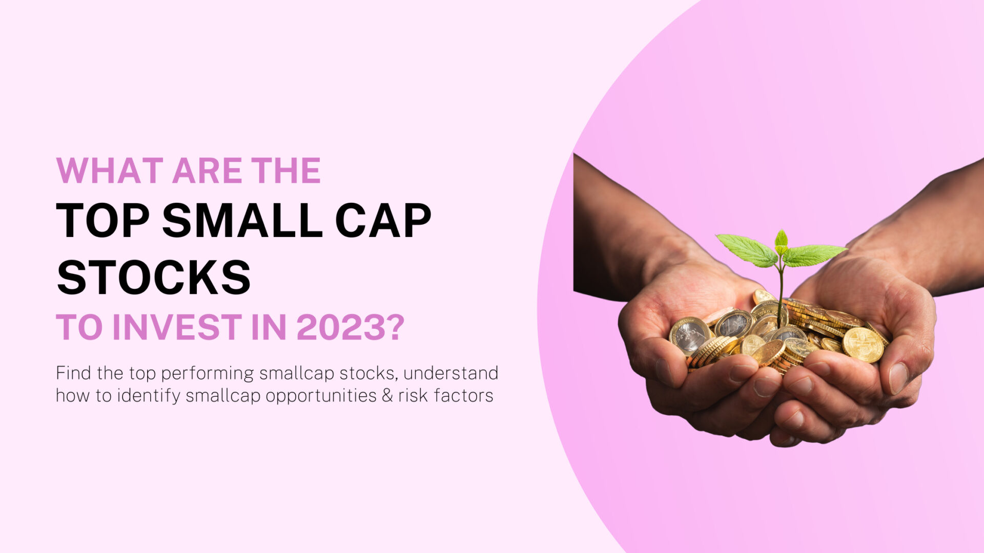 What are the top Small Cap Stocks to Invest in 2023? smallcase
