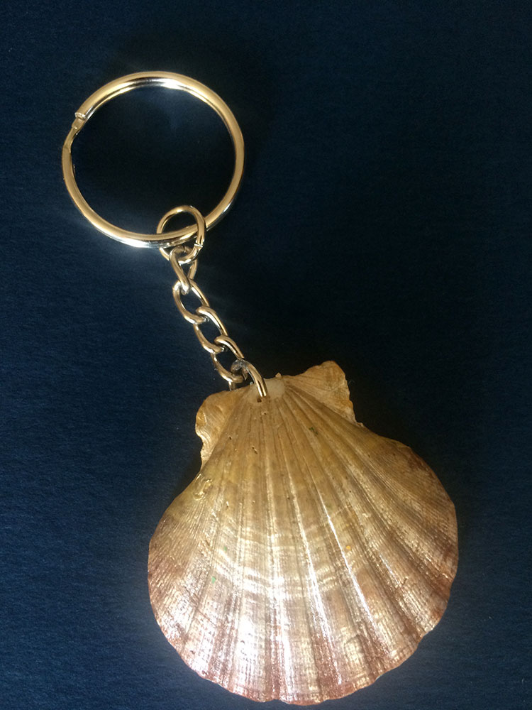 Shell keychains plain Small Cloud Christian School