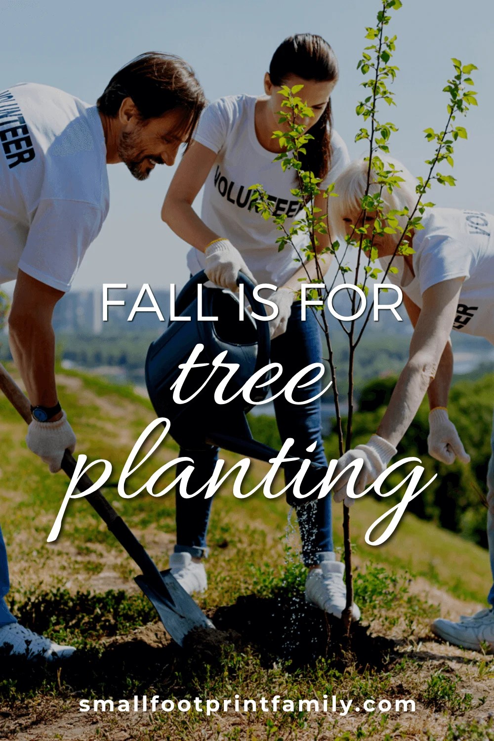 Why We Should Plant More Trees Small Footprint Family