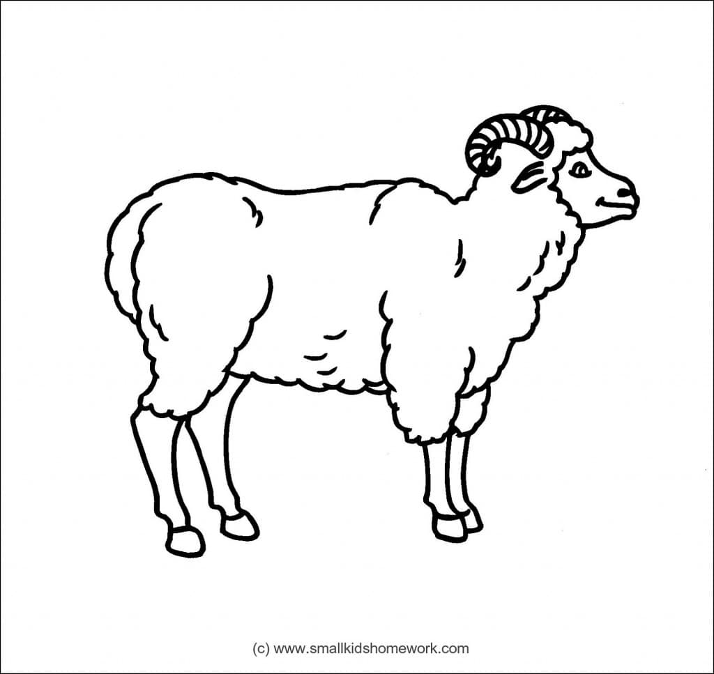 Rabbit Outline Picture for coloring