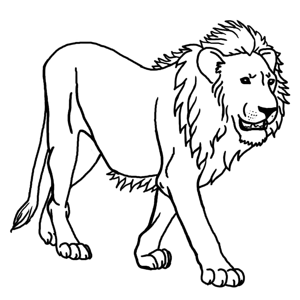 Lion Outline and Coloring Image