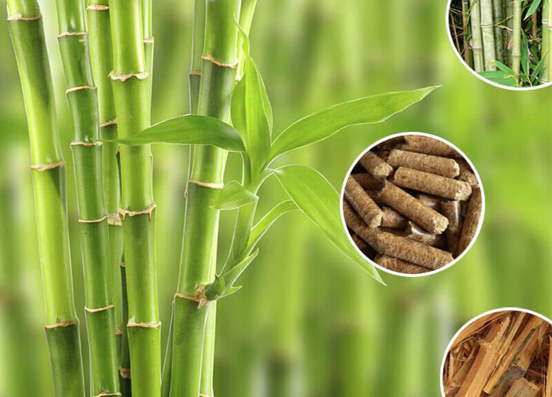 Bamboo Pellet Mill for Making Bamboo Pellets Fuel