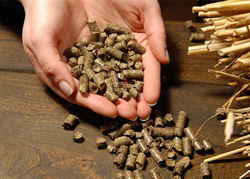 Wheat Straw Pellet Mill for Various Straw Pellet Production