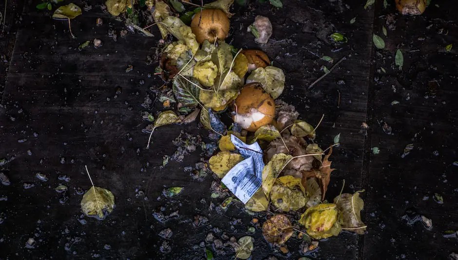 Can You Use Compost As Mulch? (Explanation Revealed!)