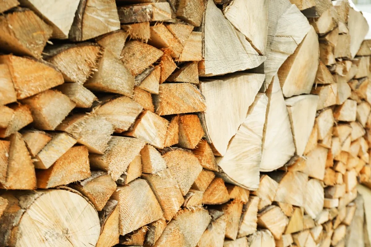 Drying Firewood Quickly Effective Methods For Heating Your Home!