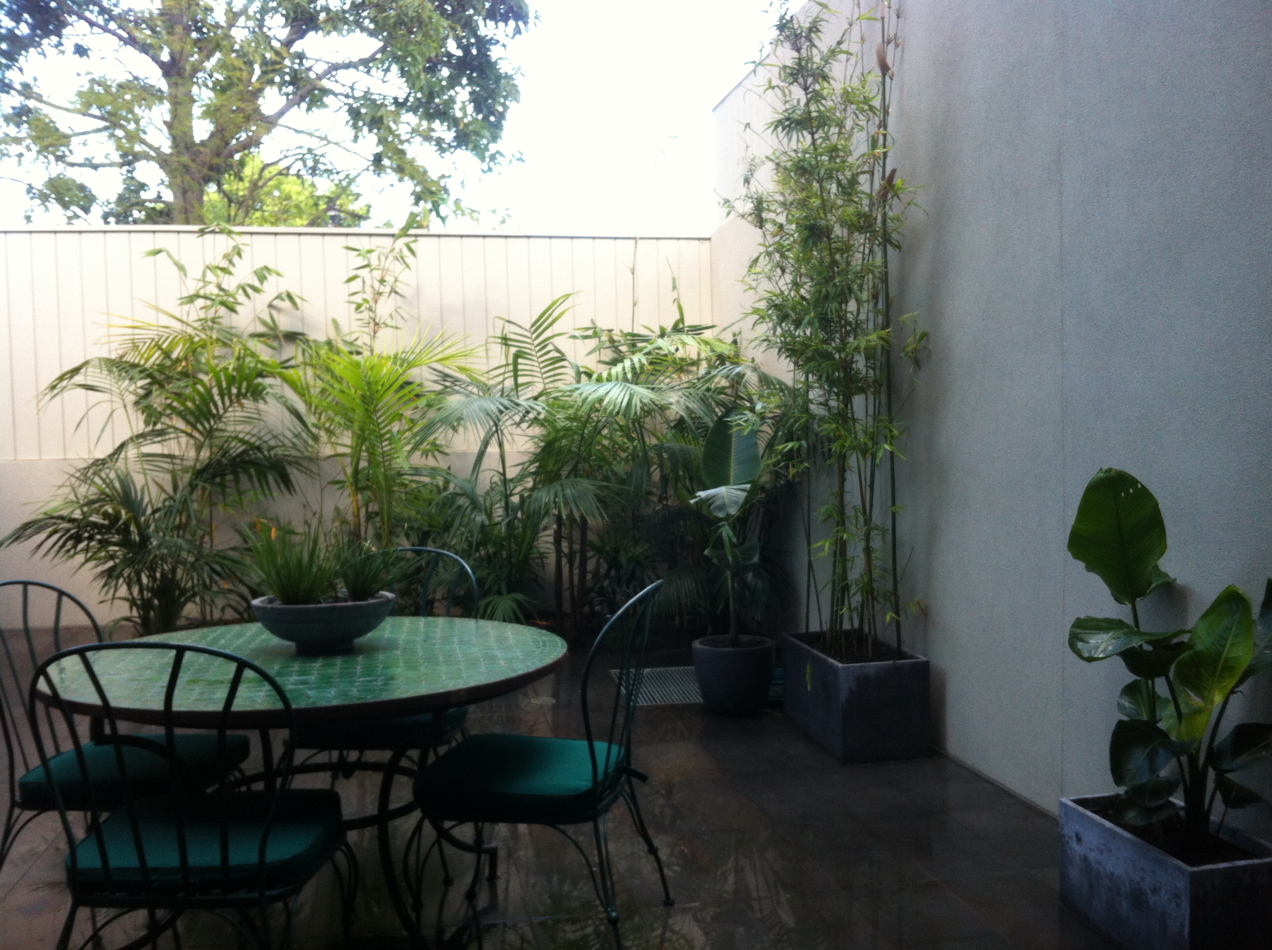 Townhouse Courtyard small spaces GARDEN DESIGN