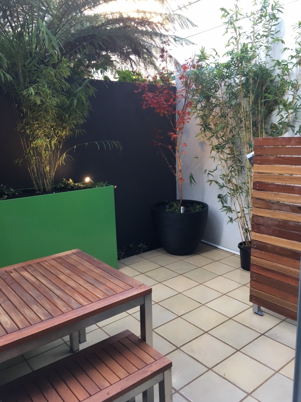 new courtyard in Melbourne Small Spaces Garden Design
