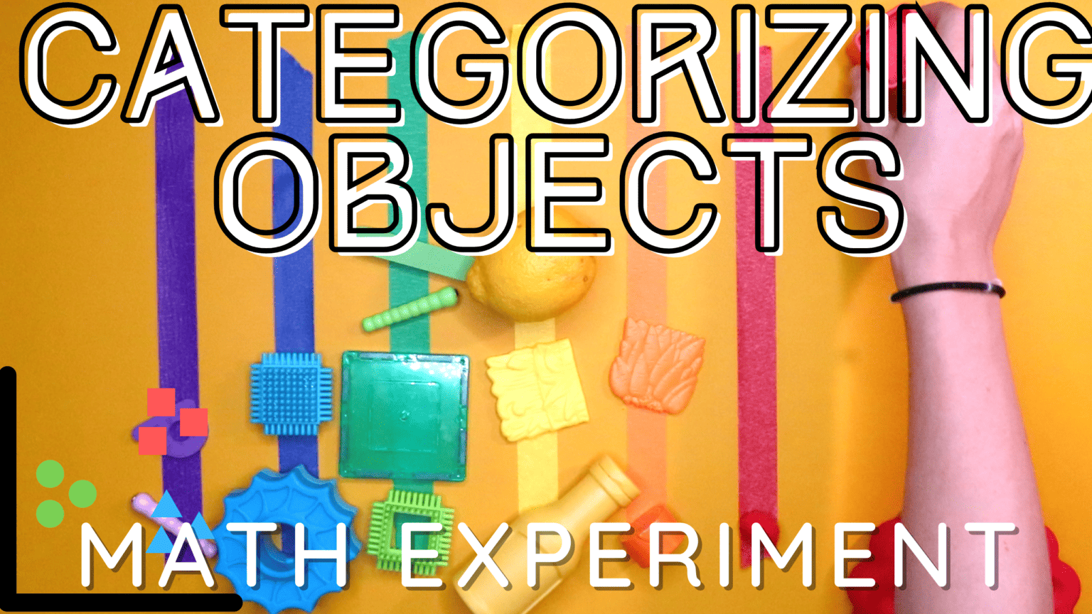 Fun with Sorting and Classifying: Categorizing Household Objects