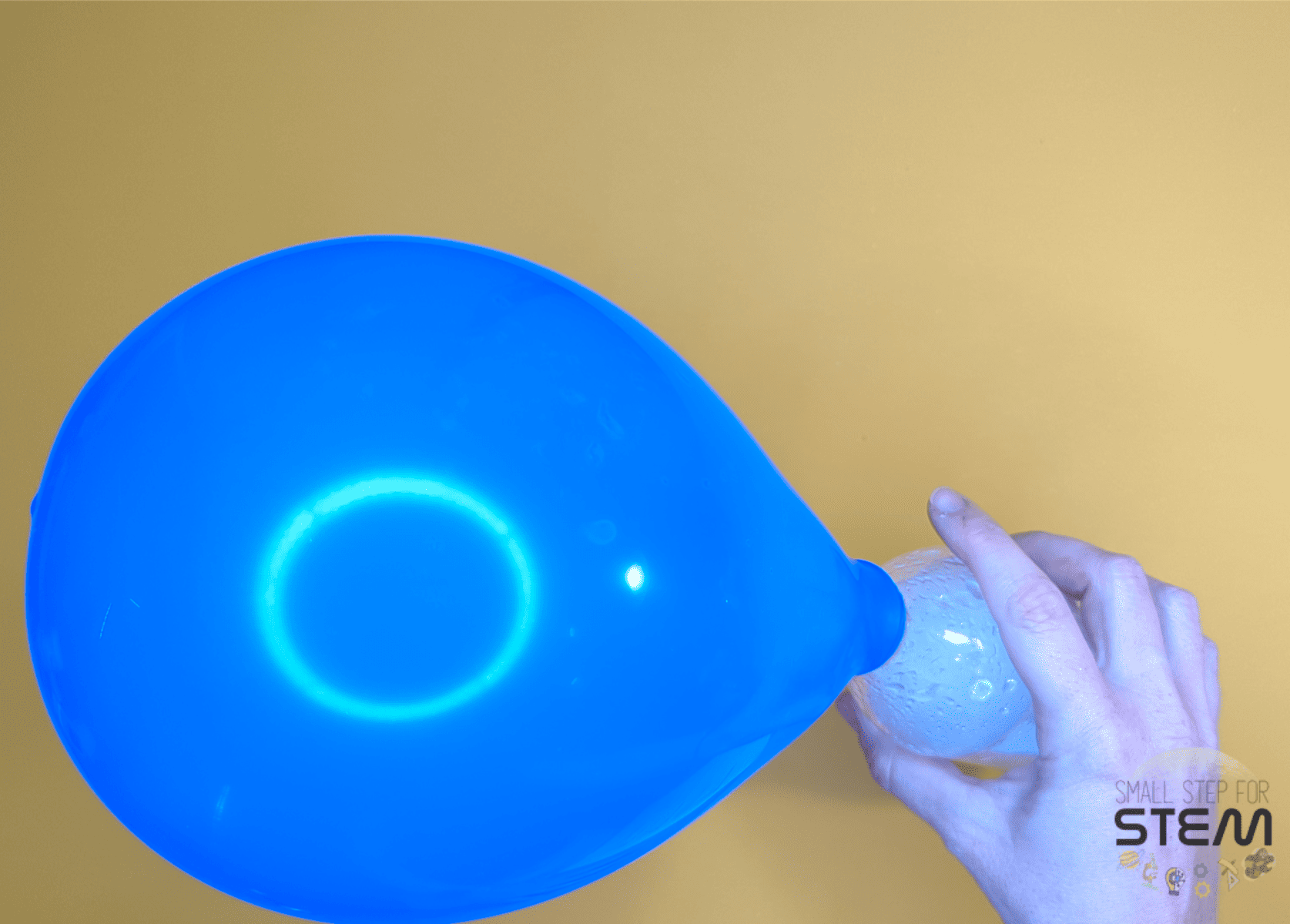 Fizz, Pop, Inflate The magical balloon experiment with a chemical