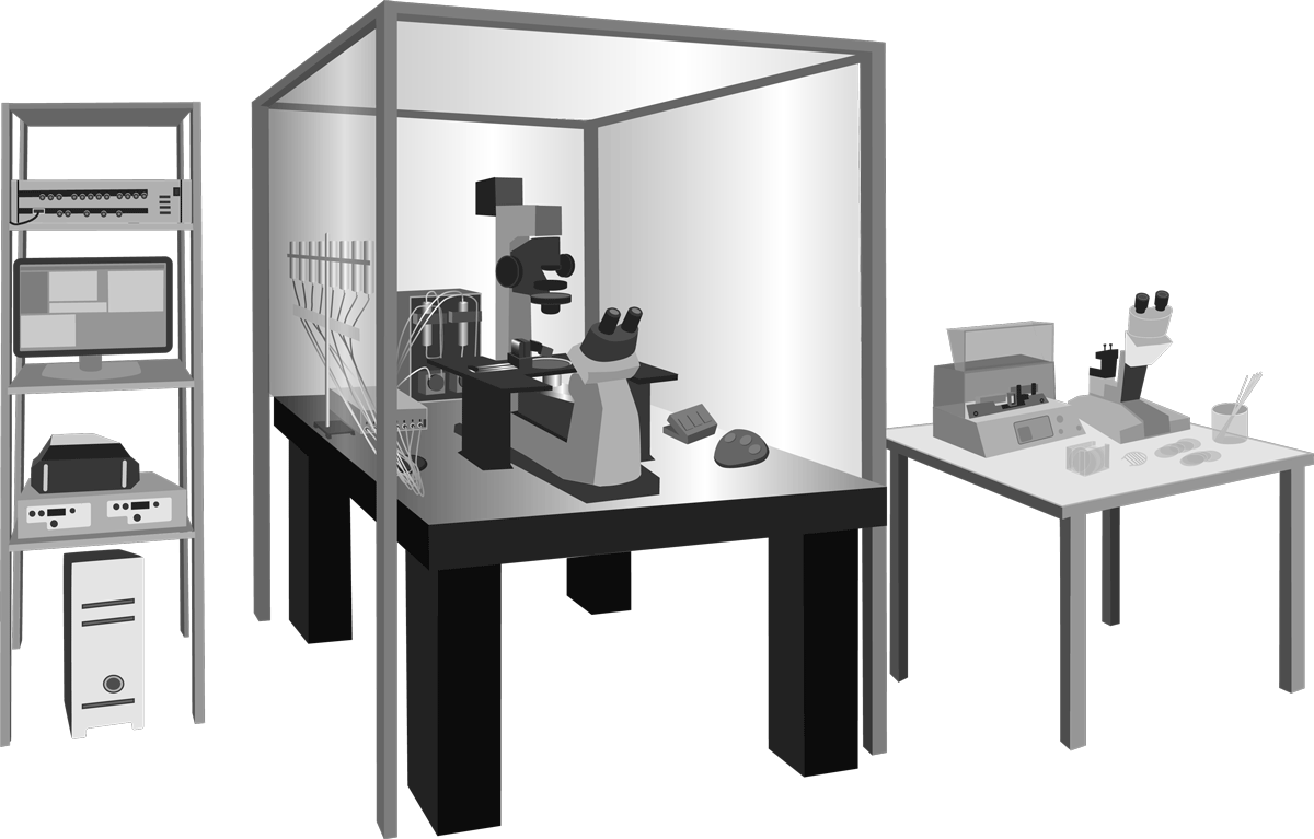 Patch Clamp Setup Smart Ephys