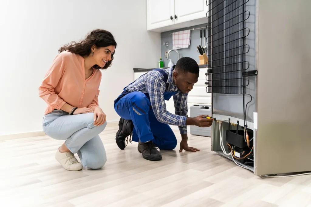 Problems with bosch fridges - Call an Expert Today