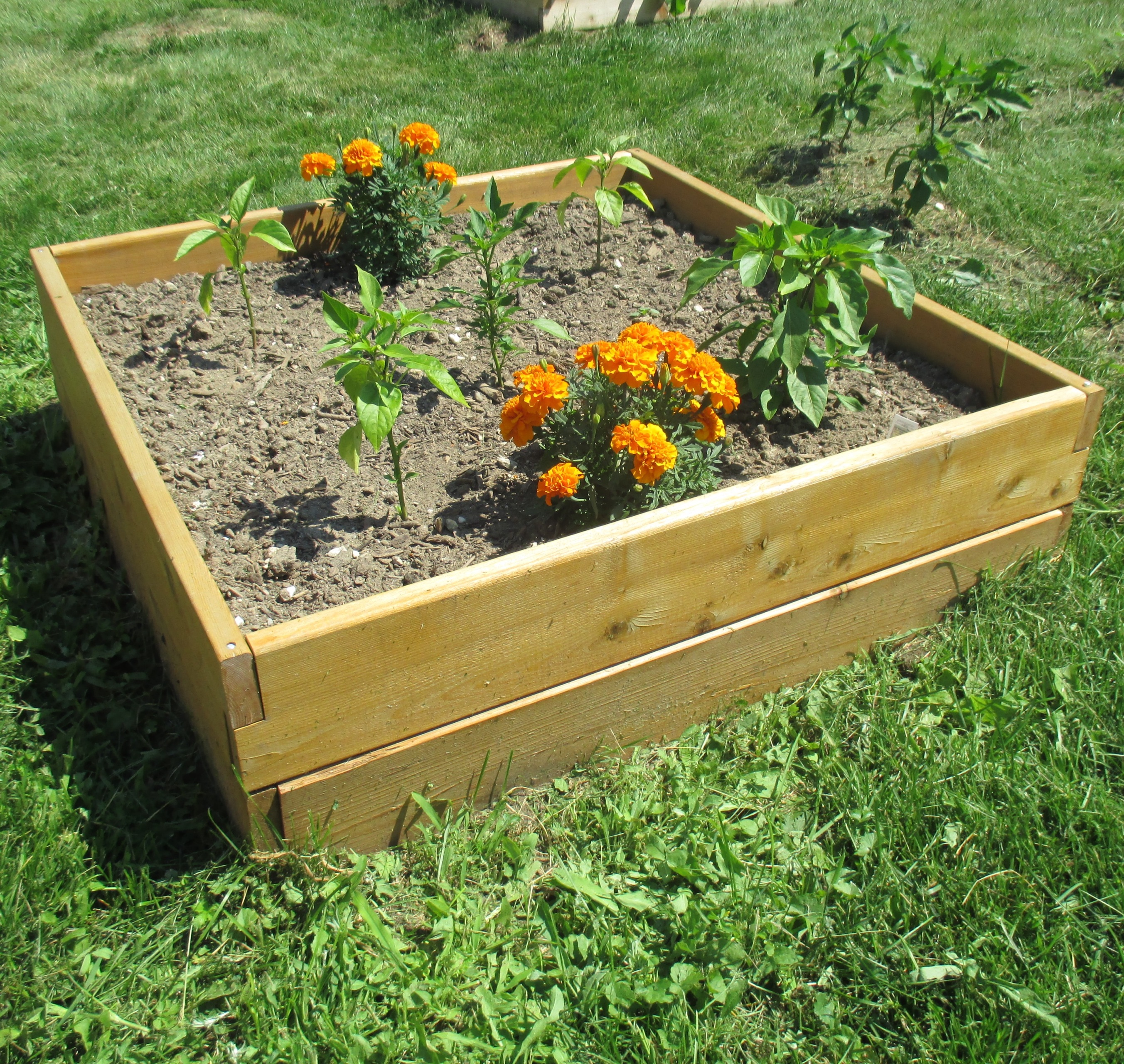 3'x3 'Raised Garden Bed Set *** Free Shipping US 48 ***