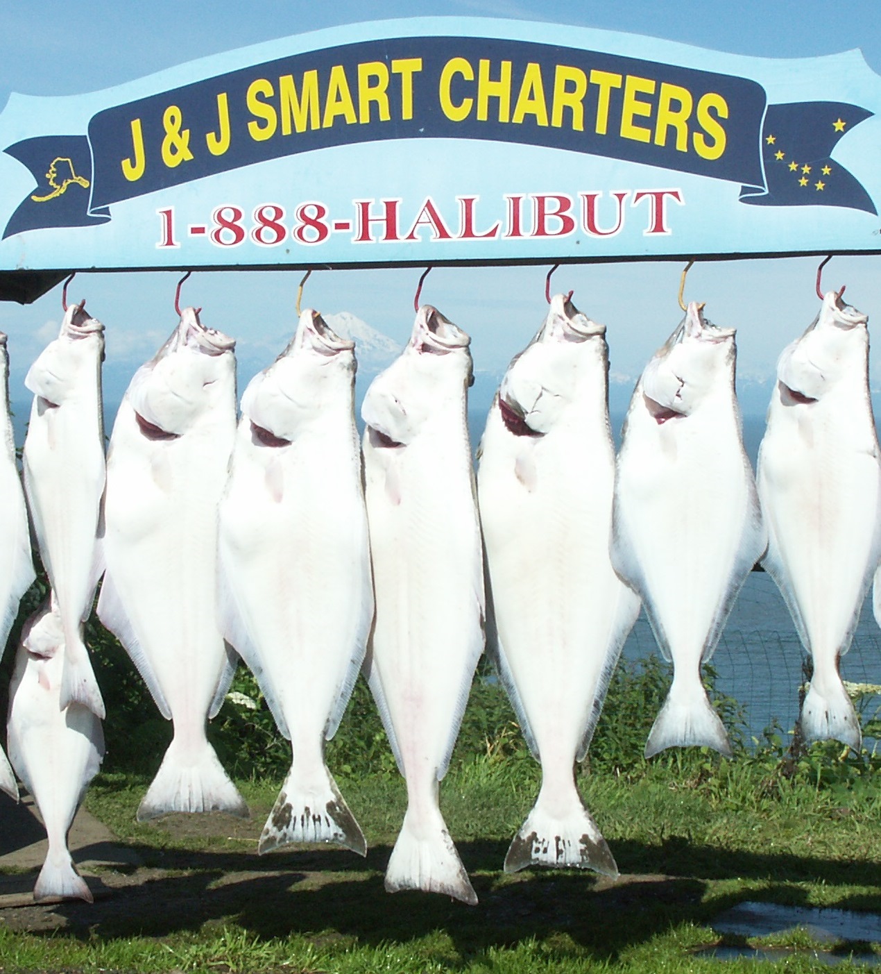 2017 Halibut Fishing Charter Regulations Announced! J&J Smart Charters