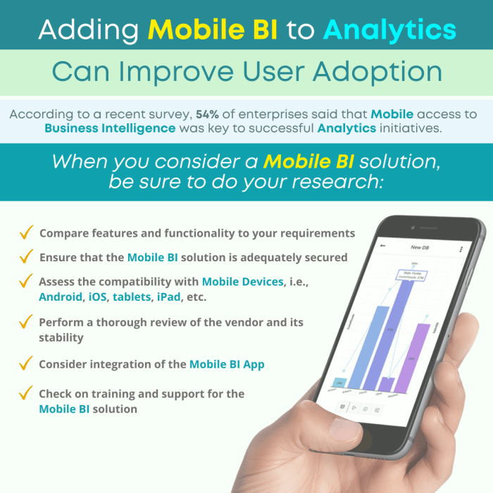 Mobile BI solutions