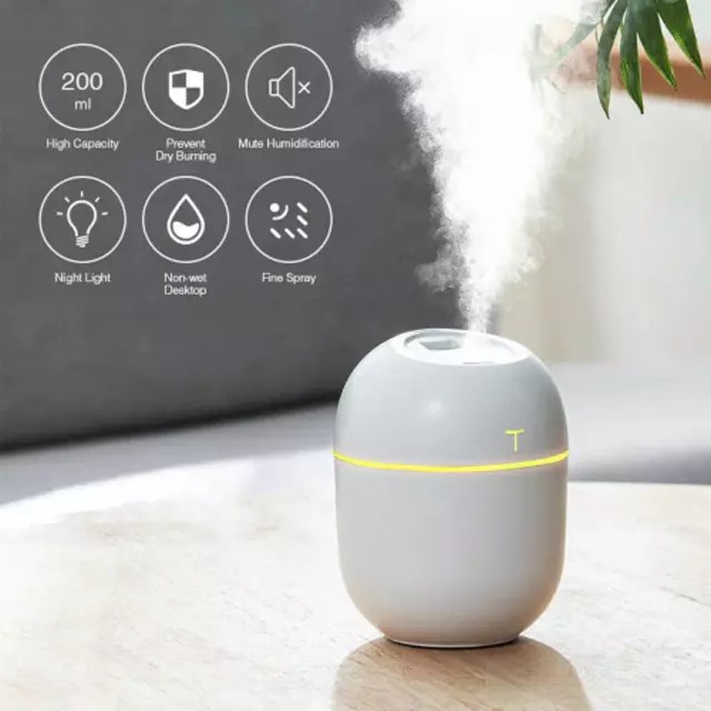 Colorful Egg Humidifier Price in Bangladesh