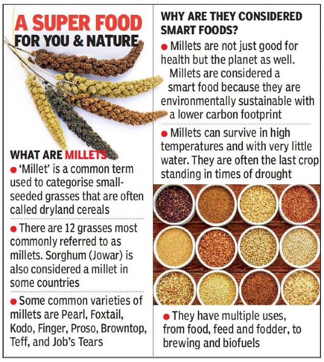 Hyderabad: Millet-based diet lowers risk of type-2 diabetes, says ICRISAT