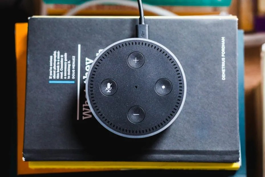 Echo Serial Number Discovery Navigating the Alexa App to Find It
