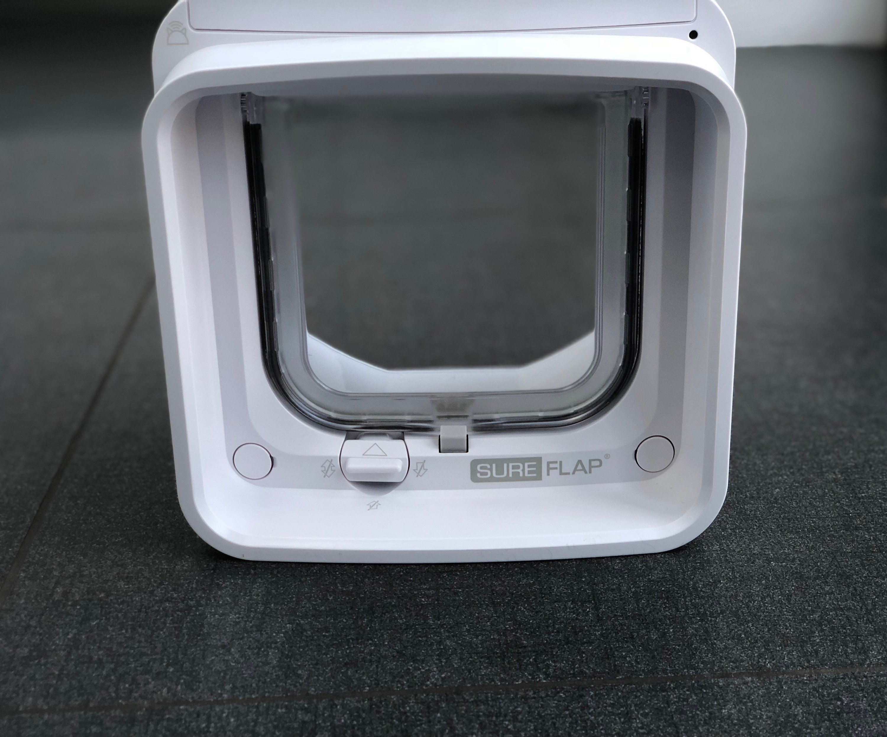 SureFlap Microchip Cat Flap Connect Review Smart Pet Smart Home Geeks