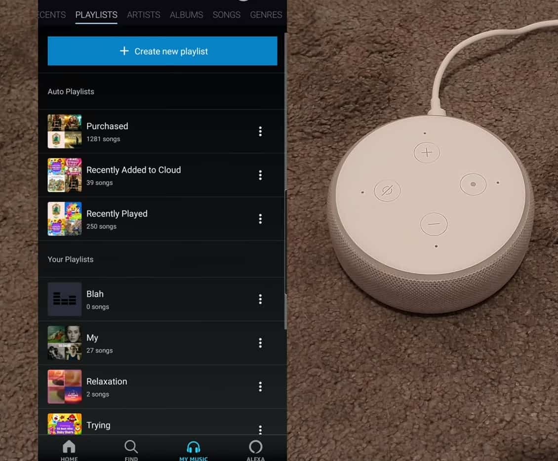 Amazon Alexa & Echo: Looping Songs, Playlists and Routines