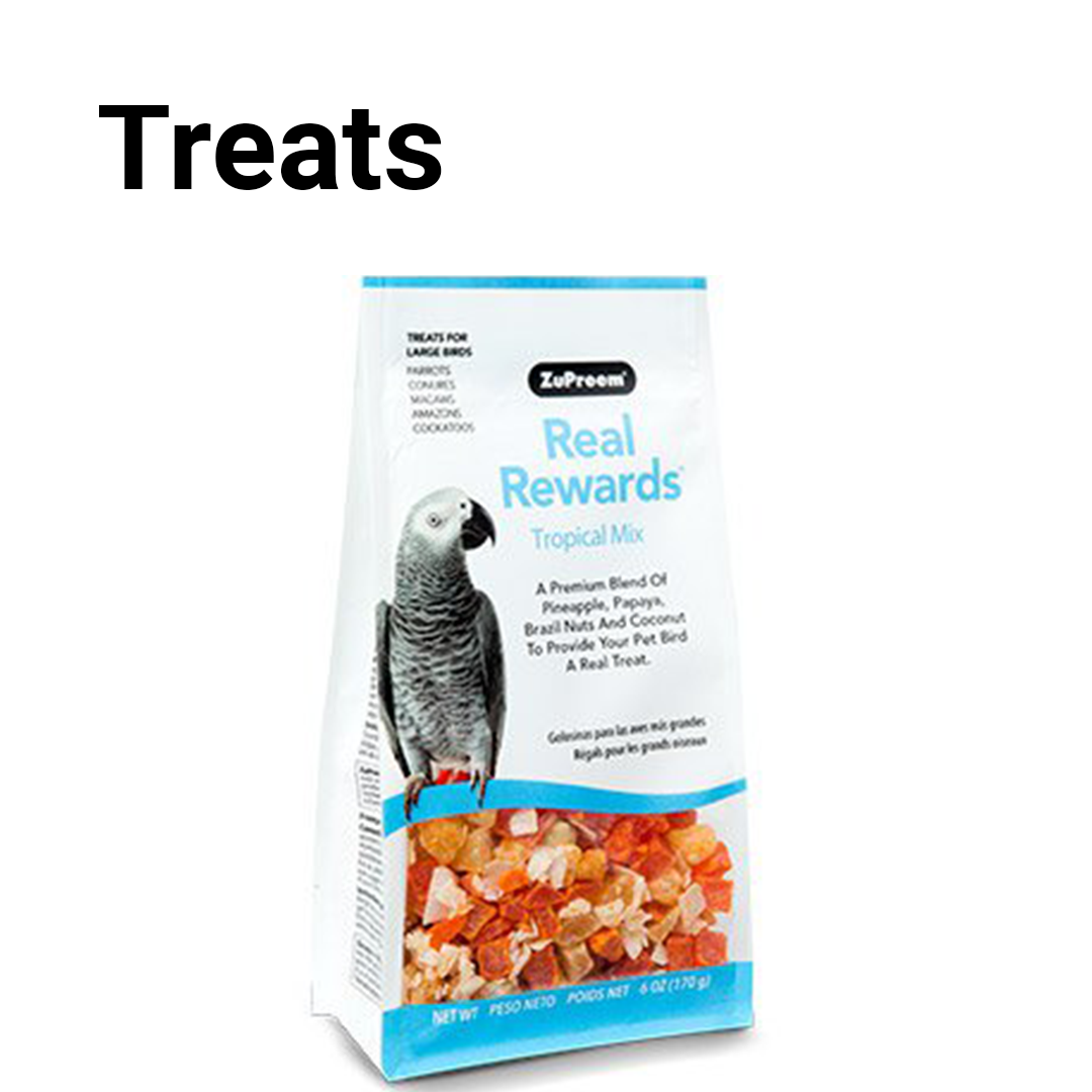 Bird Treats Smart Pet Kuwait
