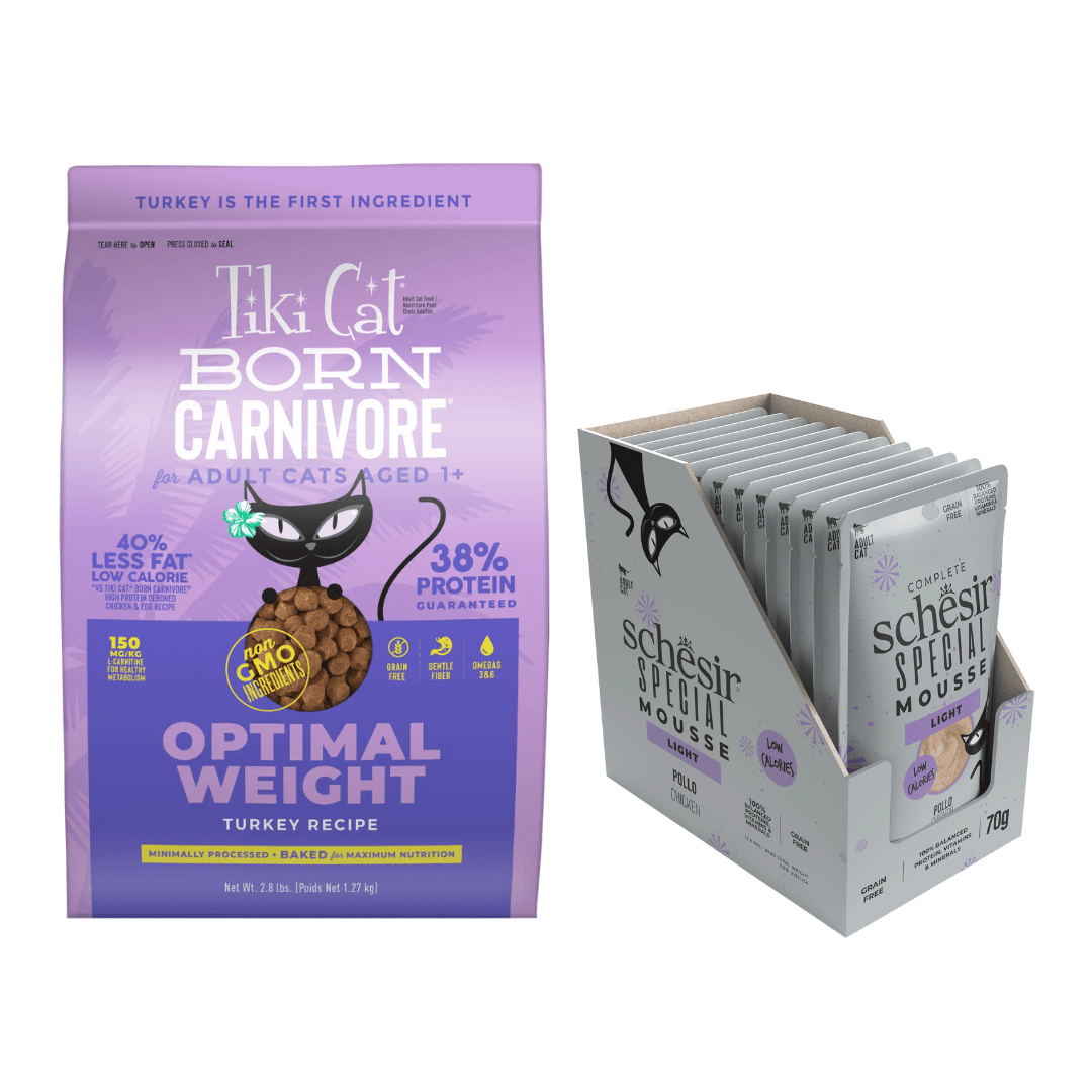 Pet Store in Kuwait Smart Pet Kuwait Pet Store and Supplies