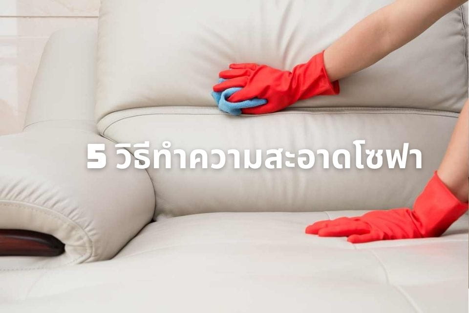 5 วิธีทําความสะอาดโซฟาผ้า หนัง, กํามะหยี่ ให้ใหม่อยู่เสมอ