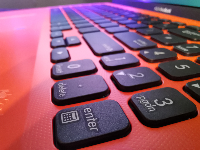 Honor 20 macro lens in action