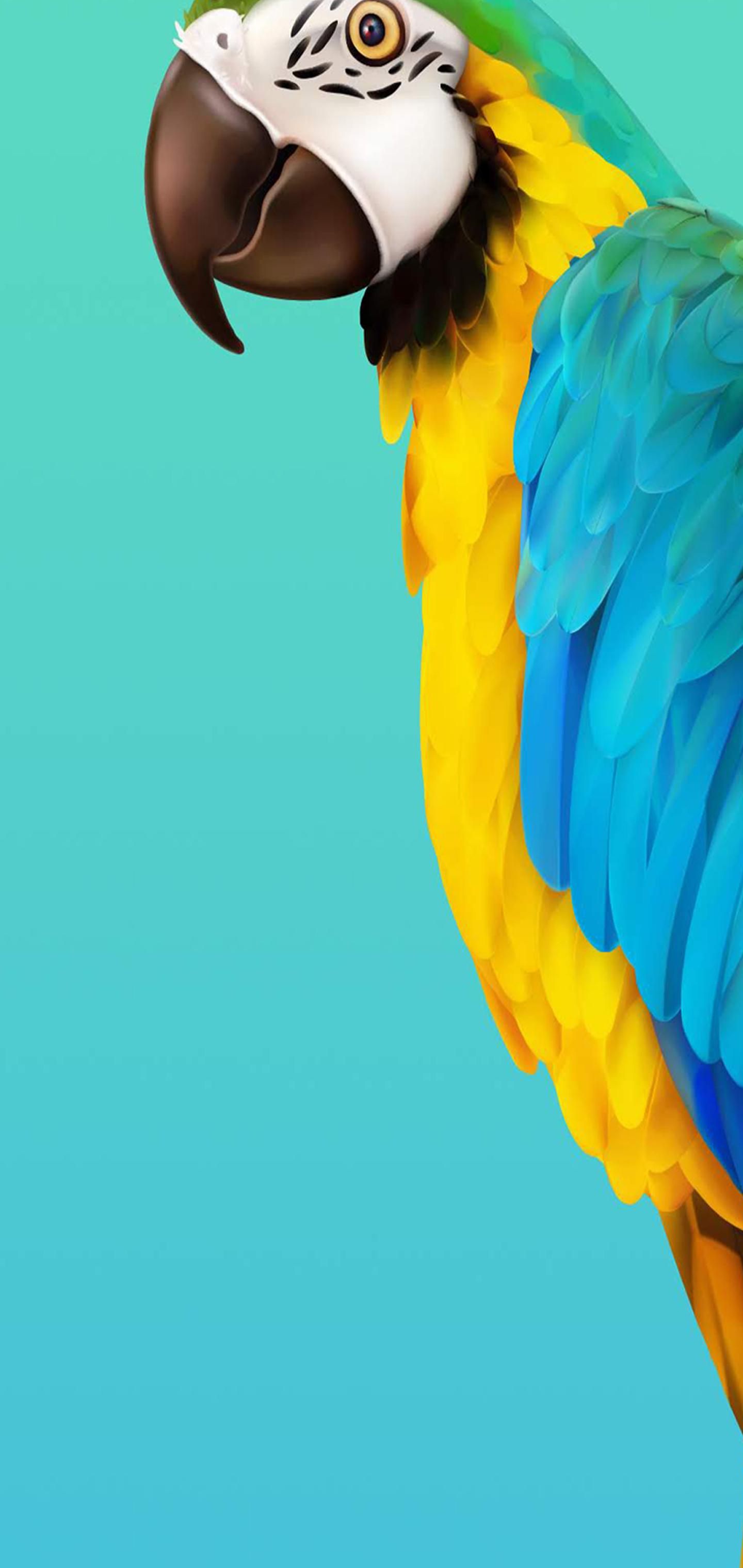 Note 10 wallpapers