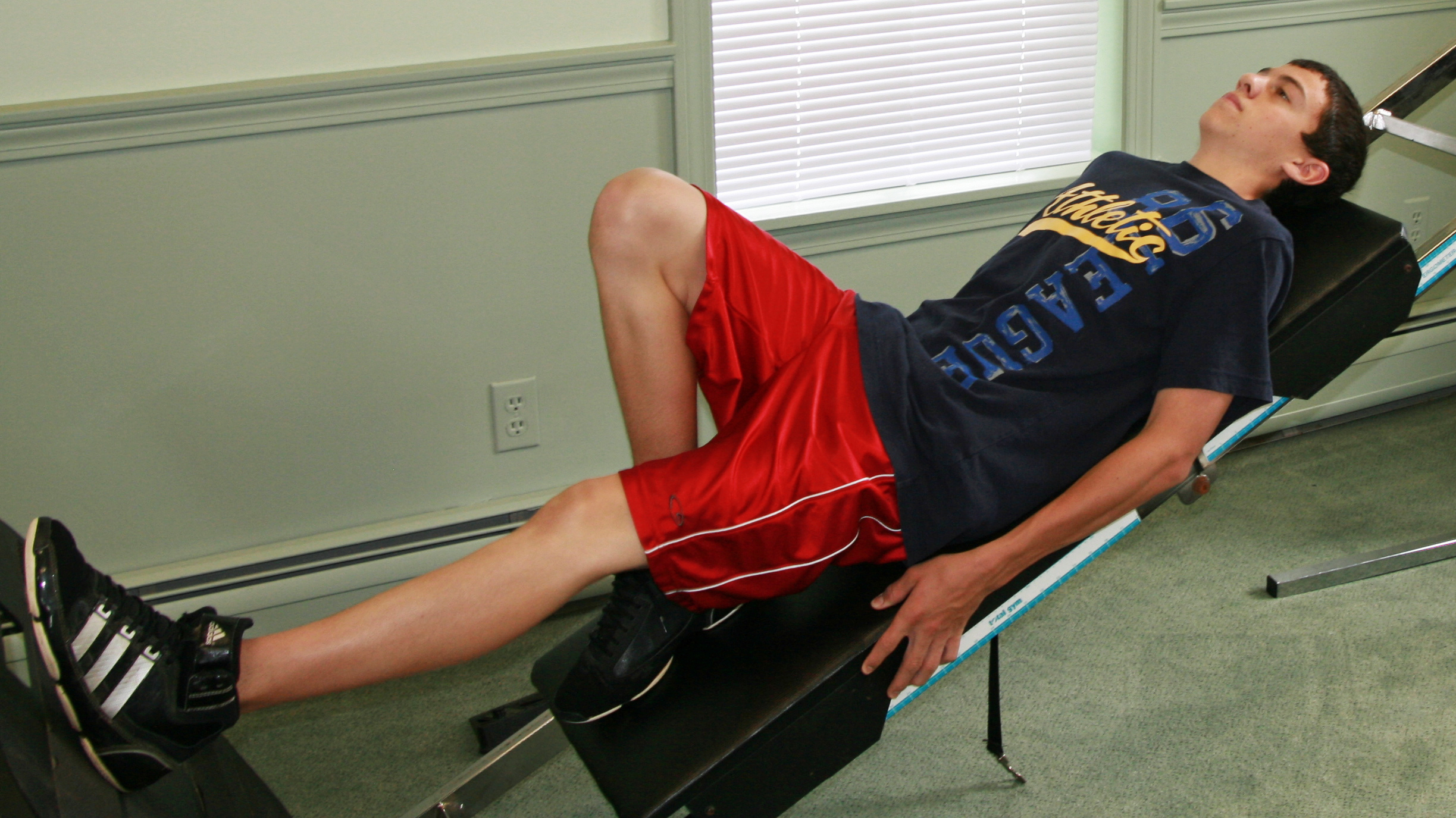 Knee