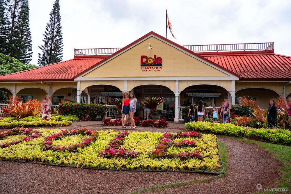 In the heart of Oahu visit of the pineapple and coffee plantations Smartrippers