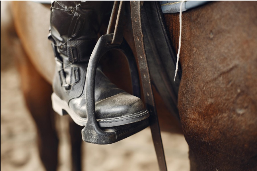 What Is A Quinella Box In Horse Racing? Smart Tech Data