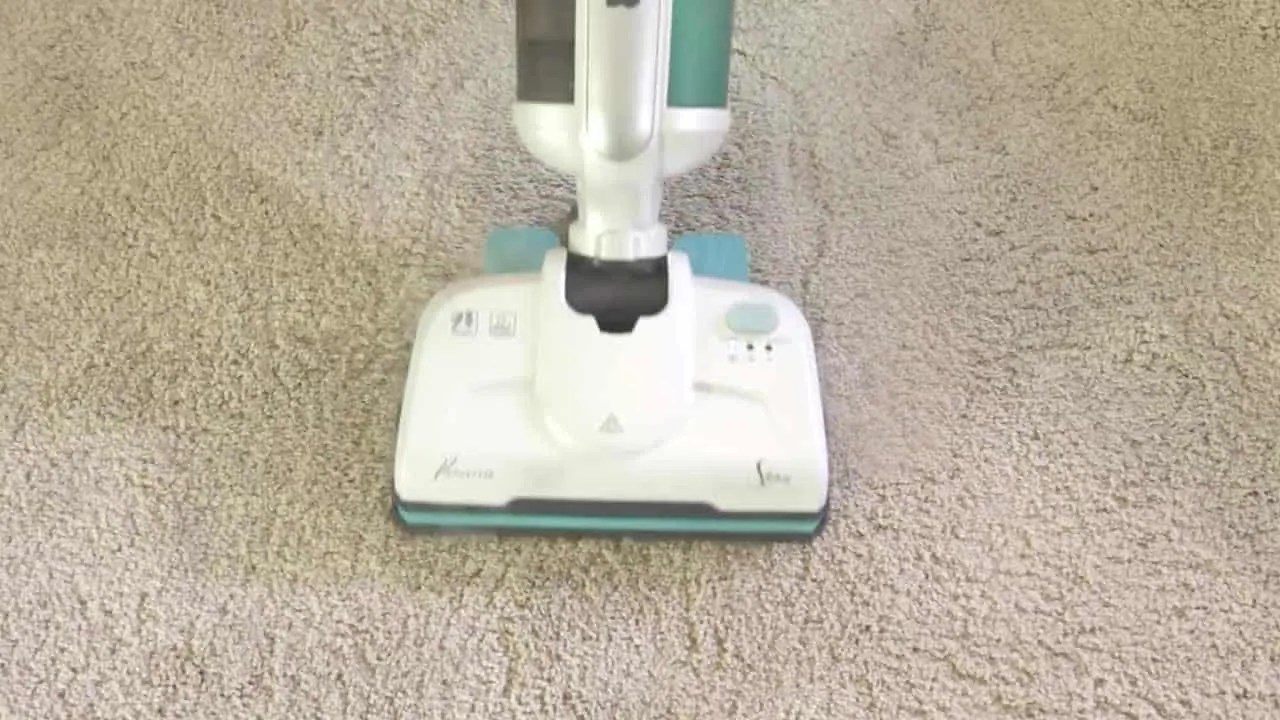 How to Clean a Carpet with a Steam Mop StepbyStep Guide