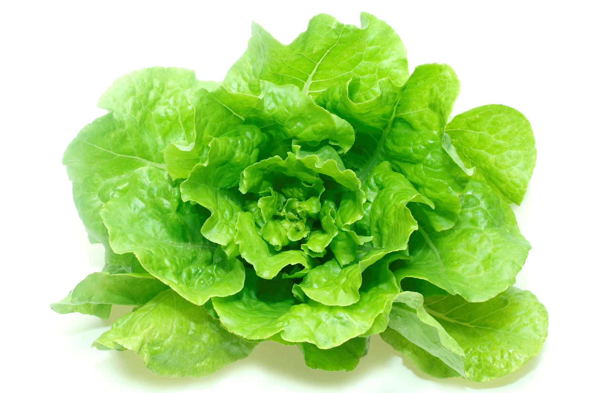 I 6 Cibi che Diminuiscono lo Stress Smartweek