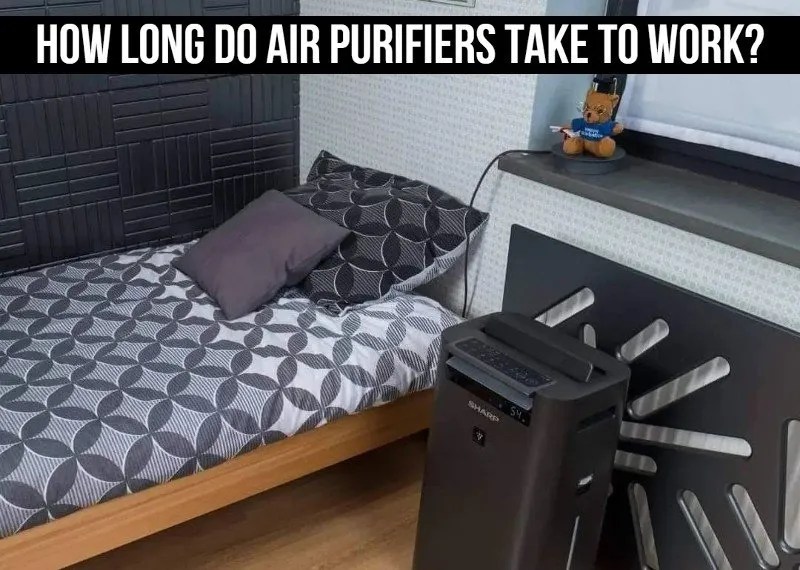How Long Do Air Purifiers Take To Work? Guide]