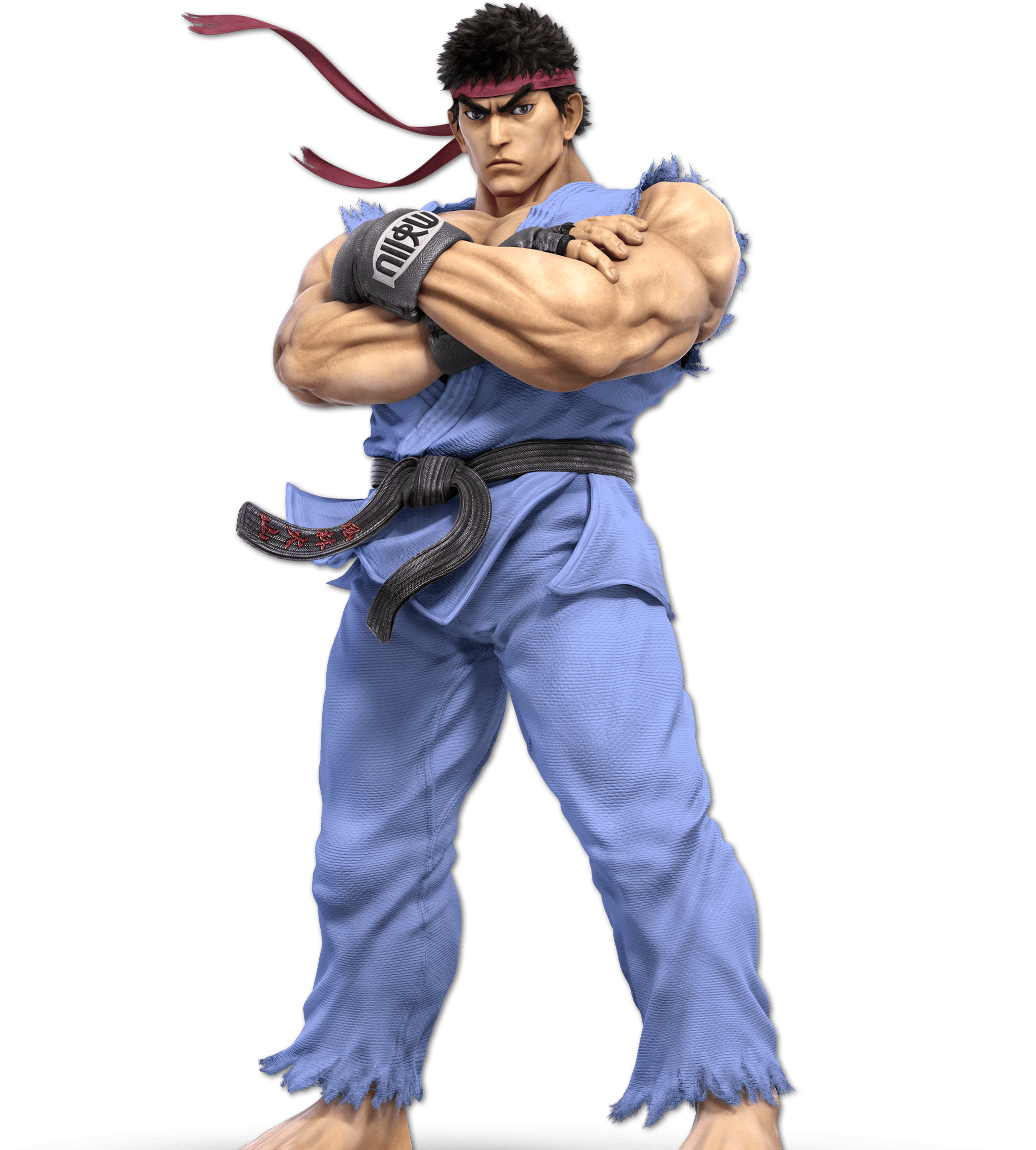 Fighters Super Smash Bros. Ultimate for the Nintendo Switch System