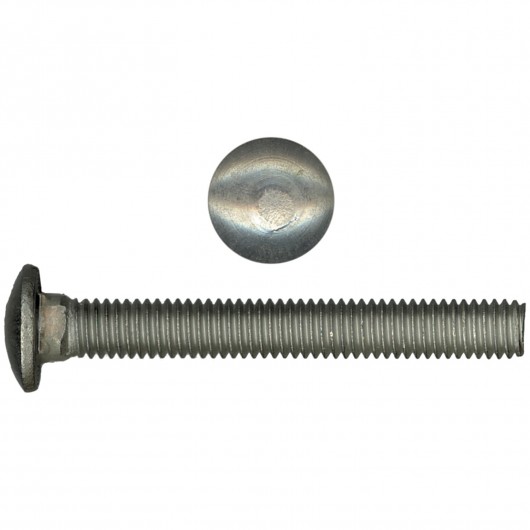 Stainless Carriage Bolts