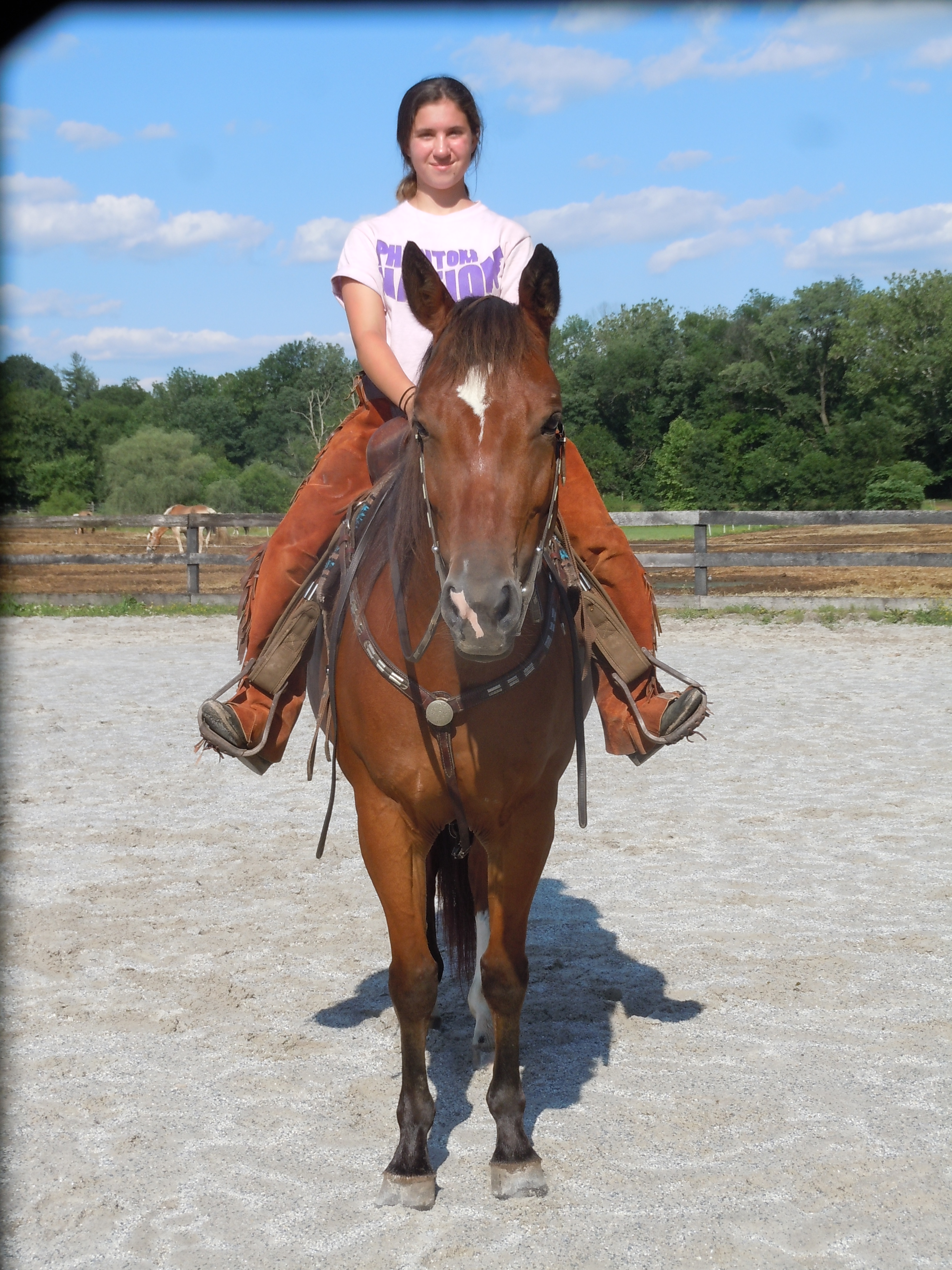 Skipper W bred Appendix Quarter Horse for Sale