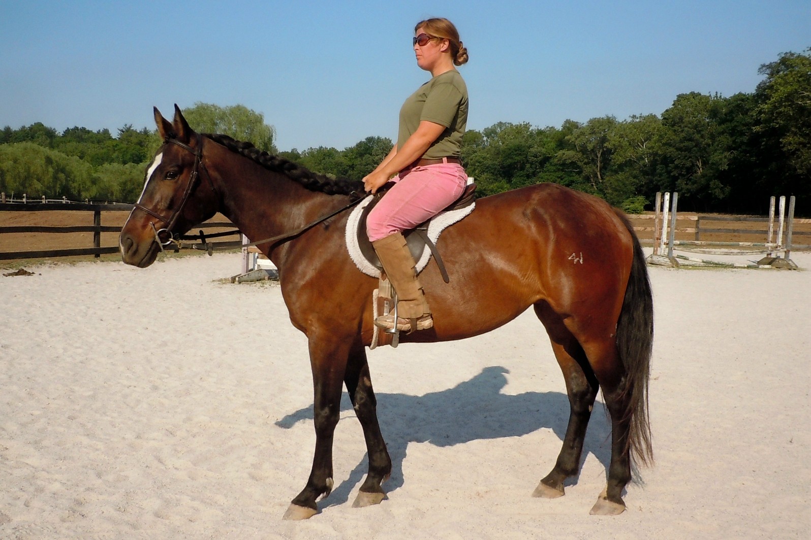 Rugged Lark bred Registered Appendix Quarter Horse for Sale