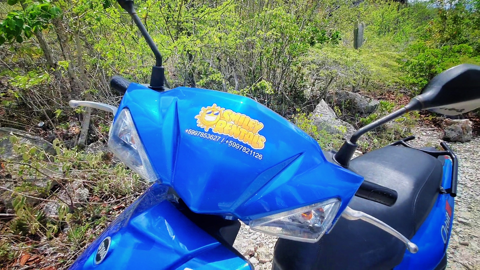 Smiley Rentals Bonaire Affordable Scooter Rental Bonaire