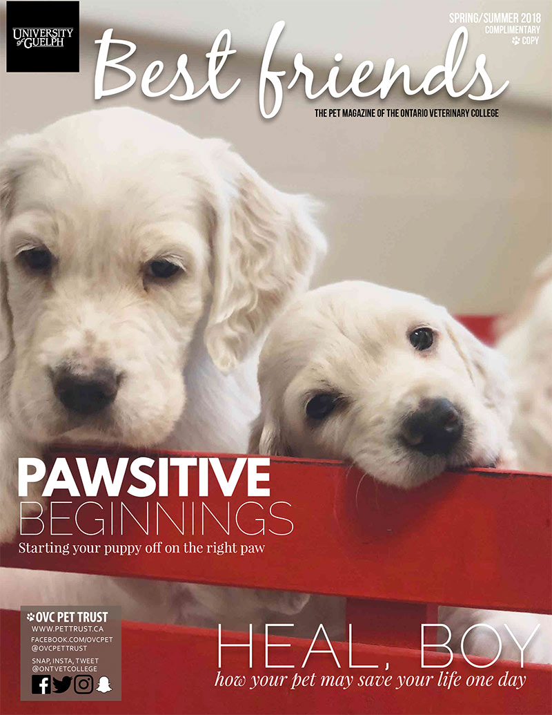 Best Friends Magazine Spring/Summer 2018 Smiling Blue Skies