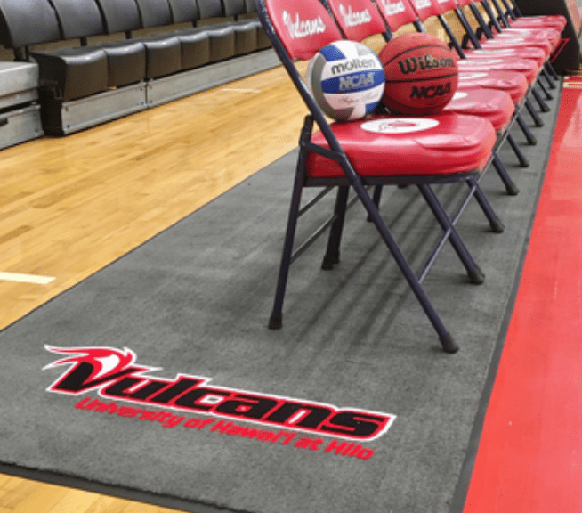 Gym Floor Cover Protection Great for nonsports events