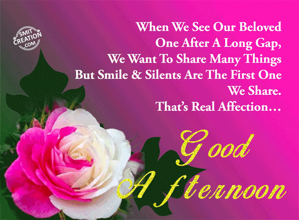 Good Afternoon Gif Image Pictures and Graphics