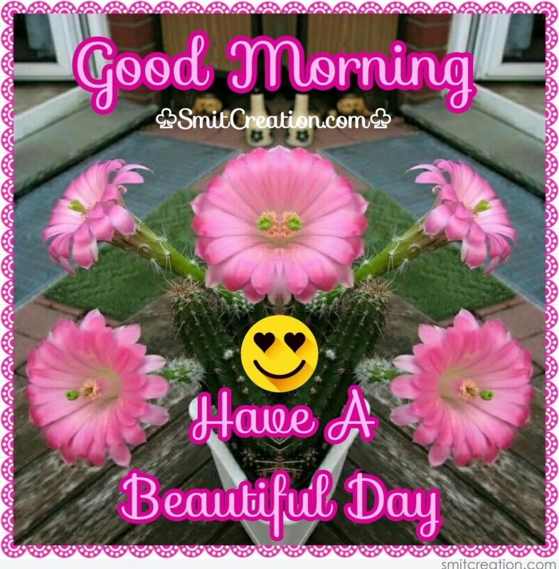 Good Morning Flowers Pictures and Graphics Page 9