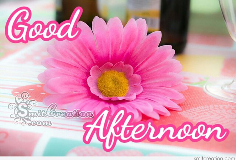 6 Good Afternoon Flower Pictures and Graphics for different festivals