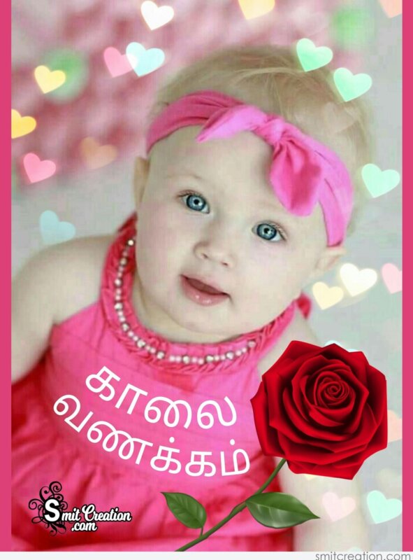 Aboutme Kaalai Vanakkam Good Morning Pictures Tamil