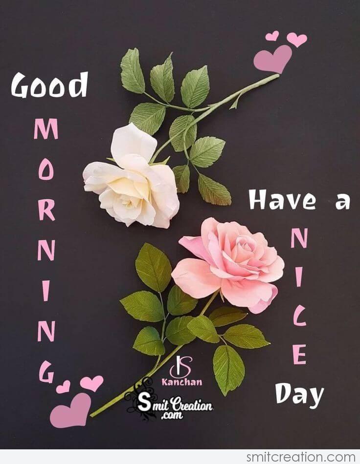 Good Morning Wishes Rose Pictures and Graphics