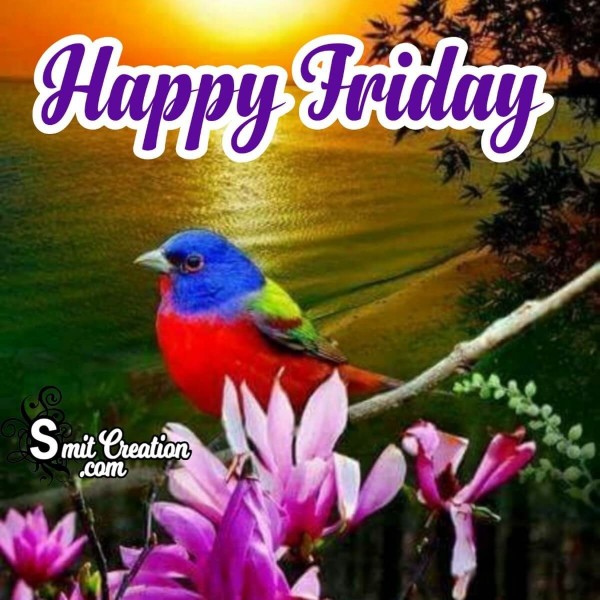 Friday Images, Pictures and Graphics