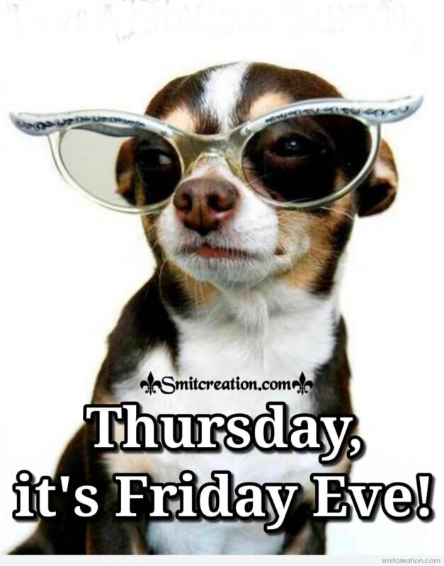 Thursday, It’s Friday Eve!