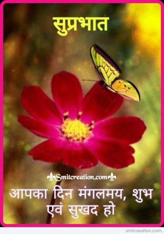 Beautiful Flowers Quotes In Marathi Best Flower Site