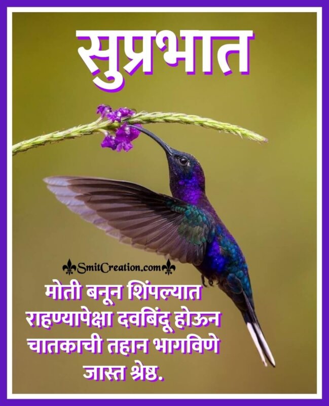 Suprabhat Marathi Suvichar Messages Images ( सुप्रभात मराठी सुविचार